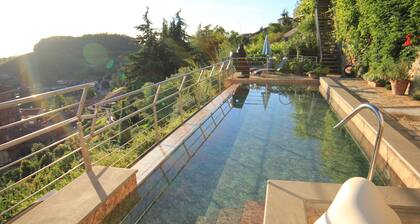 Felicin - Palazzo Boeri Panoramic Suites