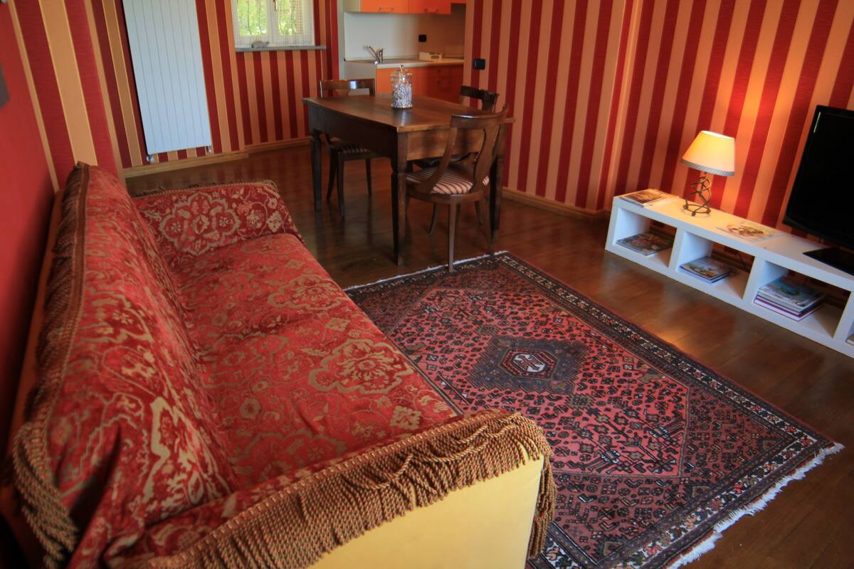 Un salon comprenant un canapé, une table à manger avec des chaises, un meuble pour la télévision avec une lampe, et un tapis à motifs.