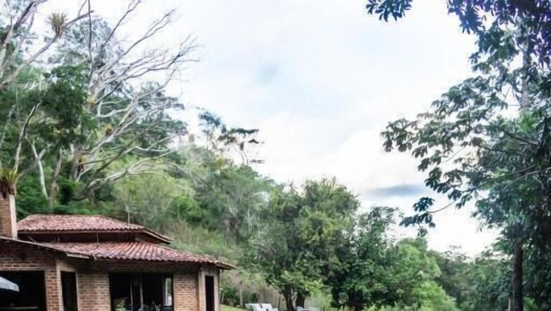 Una piscina nítida amb una casa de maó i vegetació abundant al fons.