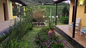 Un pati amb jardí, una petita bassa i una cadira.