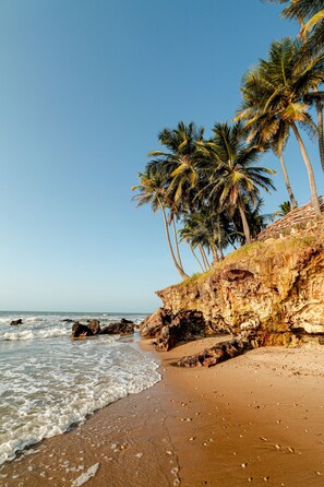 Una playa con palmeras, acantilados rocosos y olas del océano.