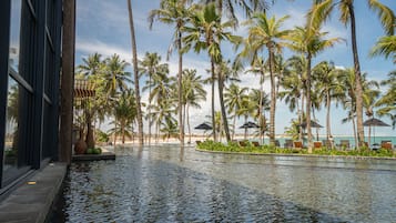 Jardim