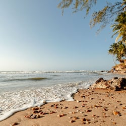 Phòng trị liệu đôi