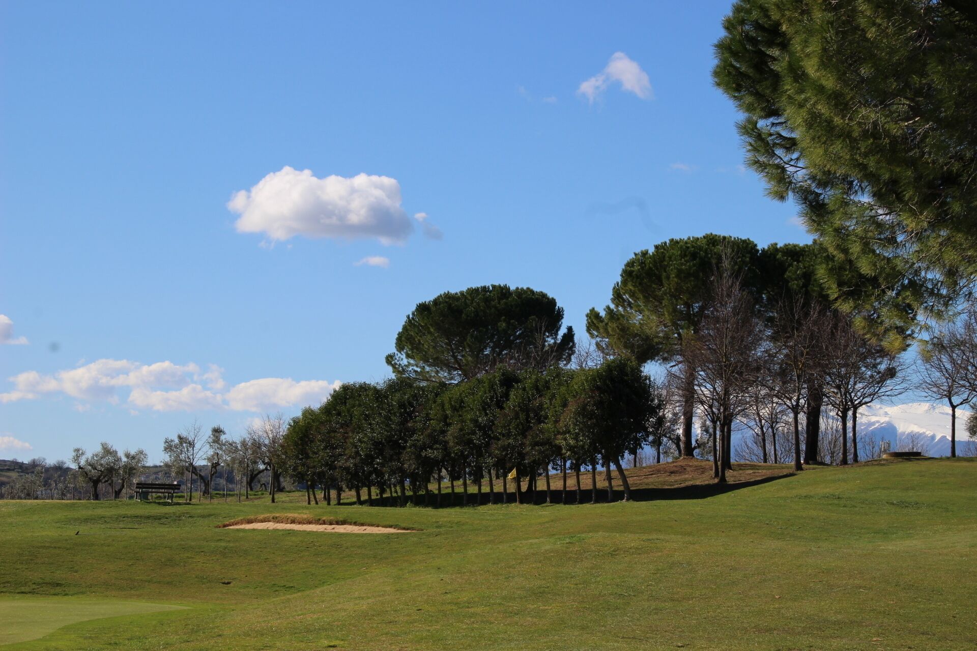 A golf course with a clear sky, trees, and a bench.