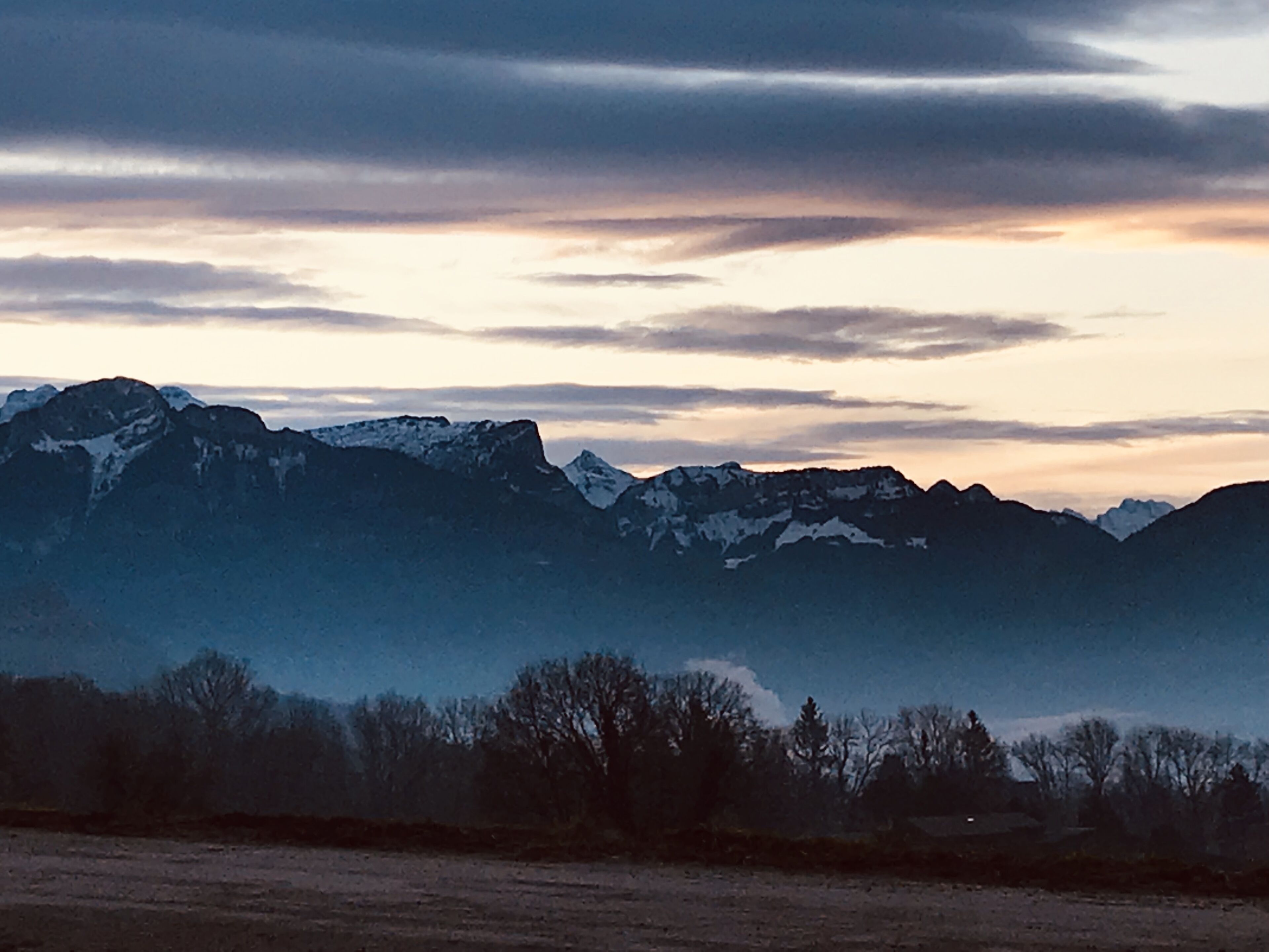 standard room, 2 single beds | view from room