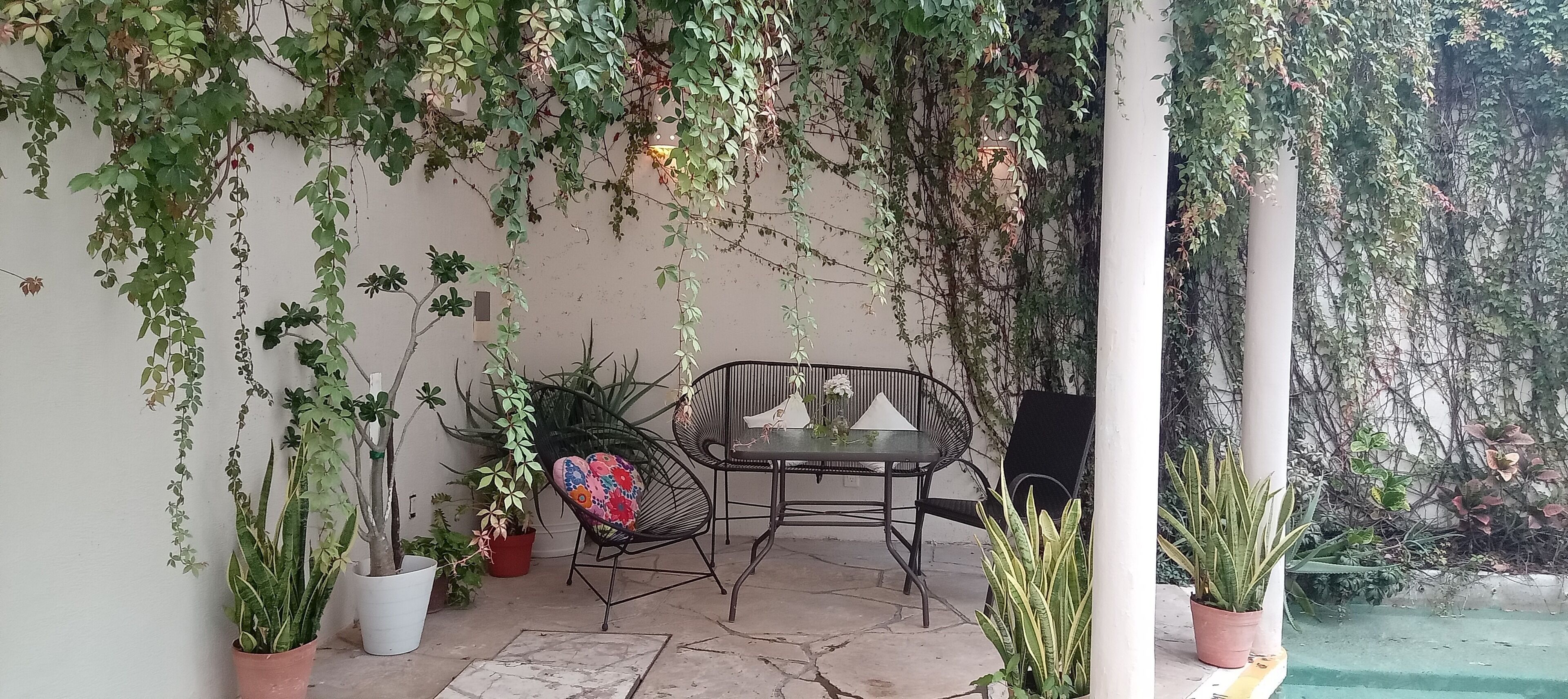 Photo - Bed and Breakfast Pecarí