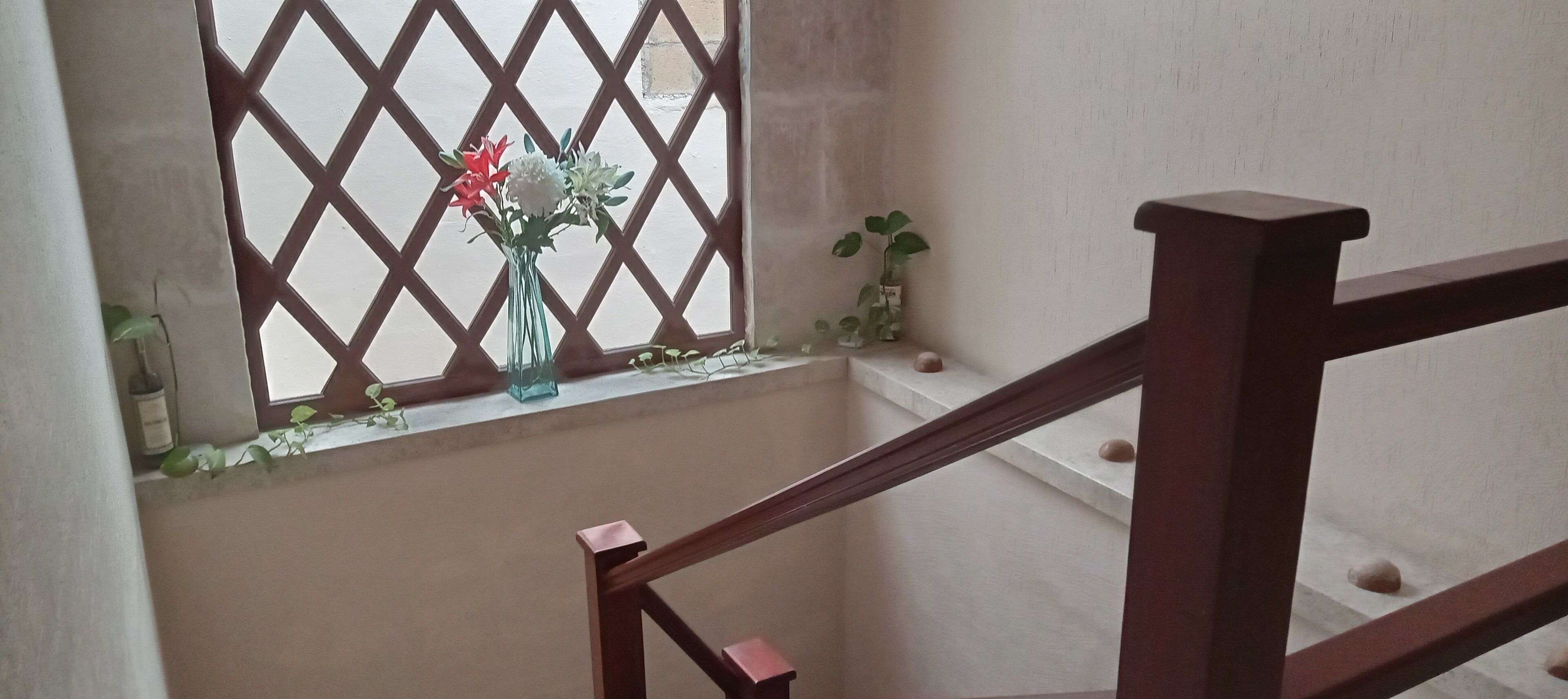 Photo - Bed and Breakfast Pecarí