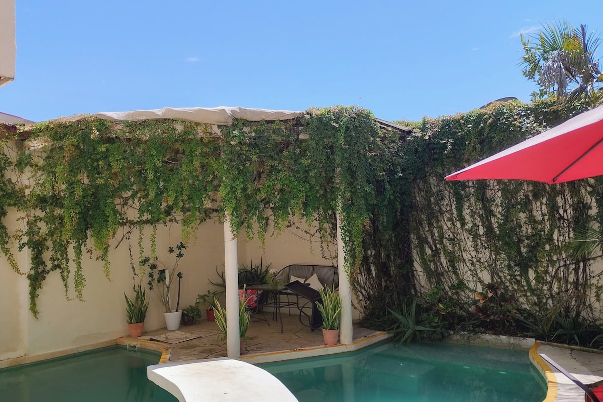A swimming pool with a curved edge, surrounded by potted plants and a covered seating area.
