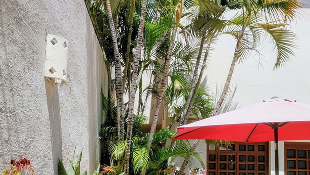 Un petit espace extérieur avec un parasol rouge, un évier et divers pots de plantes.