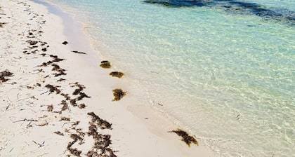 NETTLE BAY BEACH CLUB en la playa! Hermosos 2 habitaciones 2 baños 2 a 4 pers.