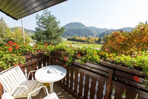 Apartment, 1 Bedroom (Aqua) | Balcony - Apartments Sole (Podcetrtek)