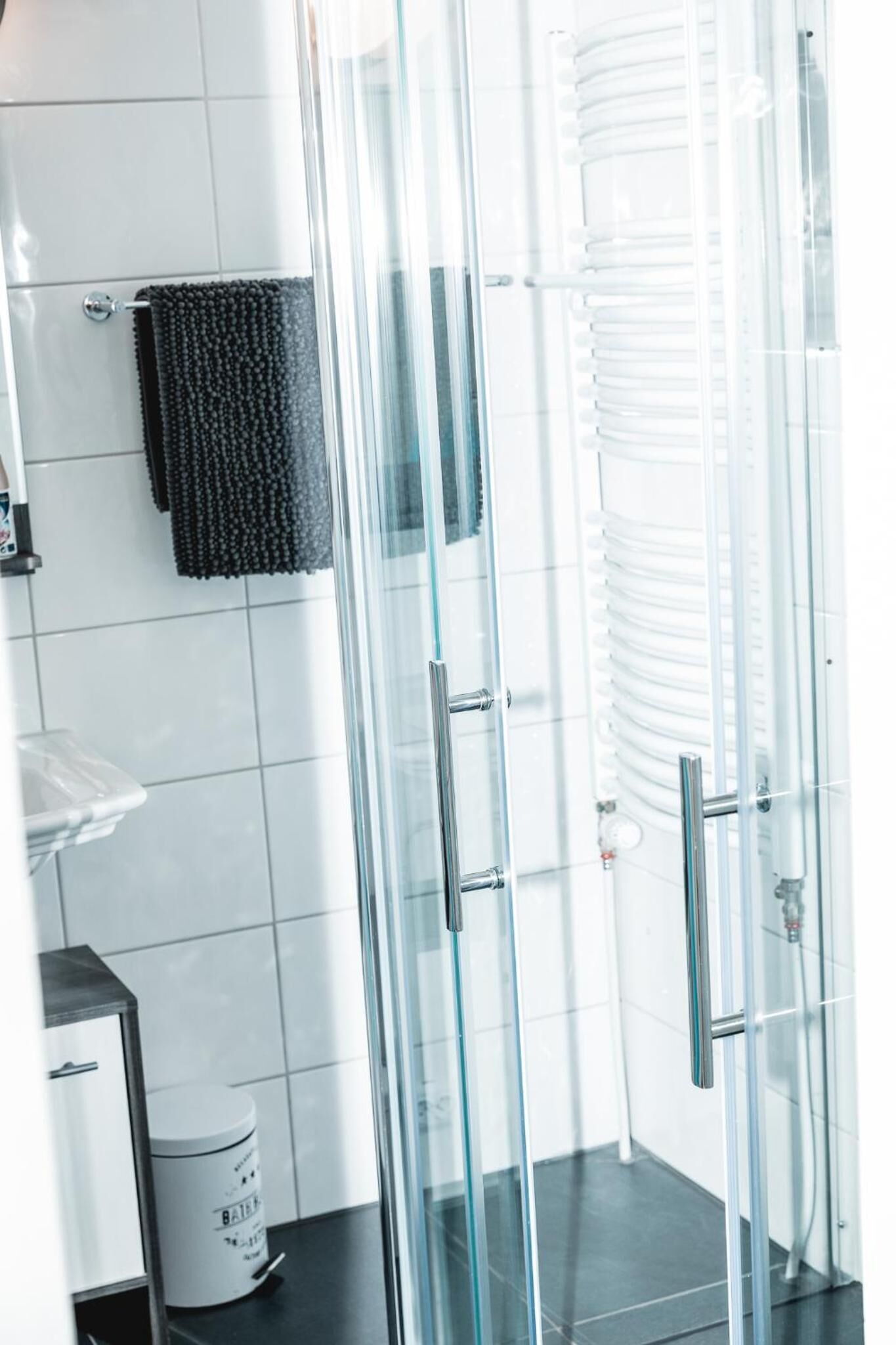 Shower, towels, soap, toilet paper