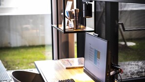 A modern office desk with a computer, keyboard, and mouse. There is a potted plant on the shelf above the desk. - Ibis Wels (Wels)