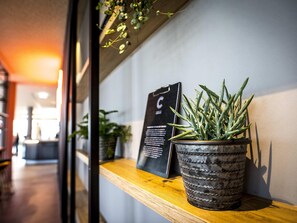 Bar (in der Unterkunft)