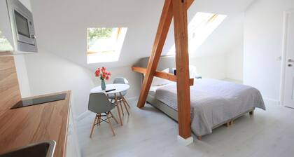 Studio B - Zollikof Aparts - Sauna & Studio Apartments