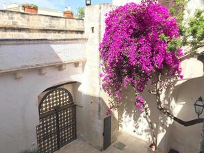 Courtyard - La corte dei mille (Presicce-Acquarica)