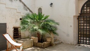 A courtyard with a palm tree, a wooden chair, and a gate. - La corte dei mille (Presicce-Acquarica)
