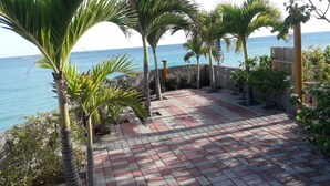 Uma trilha pavimentada com palmeiras e vista para o mar.