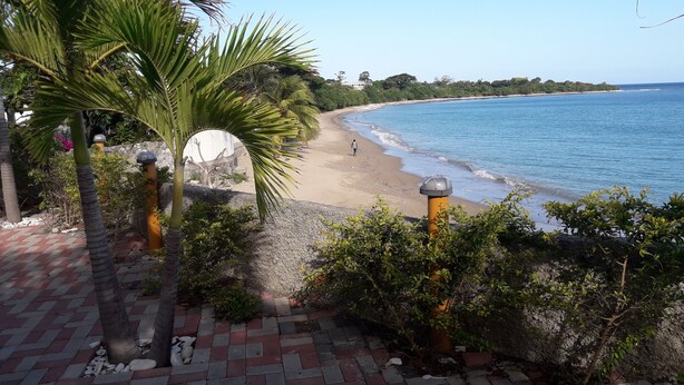 Uma praia com calçada, palmeiras e vista para o oceano.