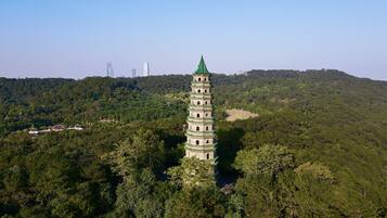 Una pagoda con tetto verde, circondata da una fitta foresta e dolci colline.