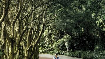 Un camino pavimentado con árboles a un lado, un ciclista y una carretera al otro.