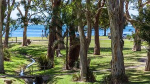 A park with trees, a small stream, and a view of the sea. - Bay Parklands, 28/2 Gowrie Ave - pool, tennis + stunning views (Nelson Bay)