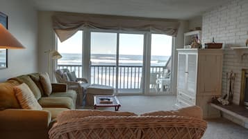 TV, fireplace, DVD player, books