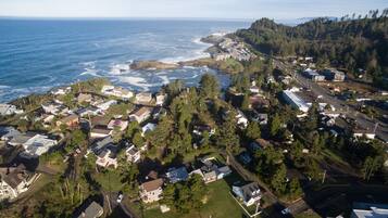 An aerial view of a coastal residential area with houses, roads, and a forested hill.