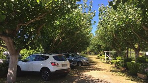 A parking area with several cars parked under trees. - Hotel Florida (Sanxenxo)