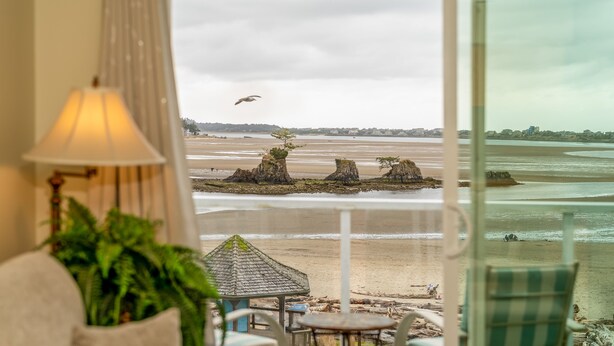 A view from a room with a large window overlooking a beach with distinctive rock formations and a seagull in flight.