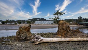 A coastal landscape with a large building in the background, a rocky shoreline, and a clear sky.