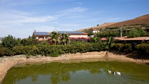 A house with a solar panel roof, surrounded by lush greenery and a pond with swans. - Agriturismo Al Lago Verde (Alia)