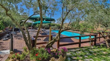 Seasonal outdoor pool, sun loungers