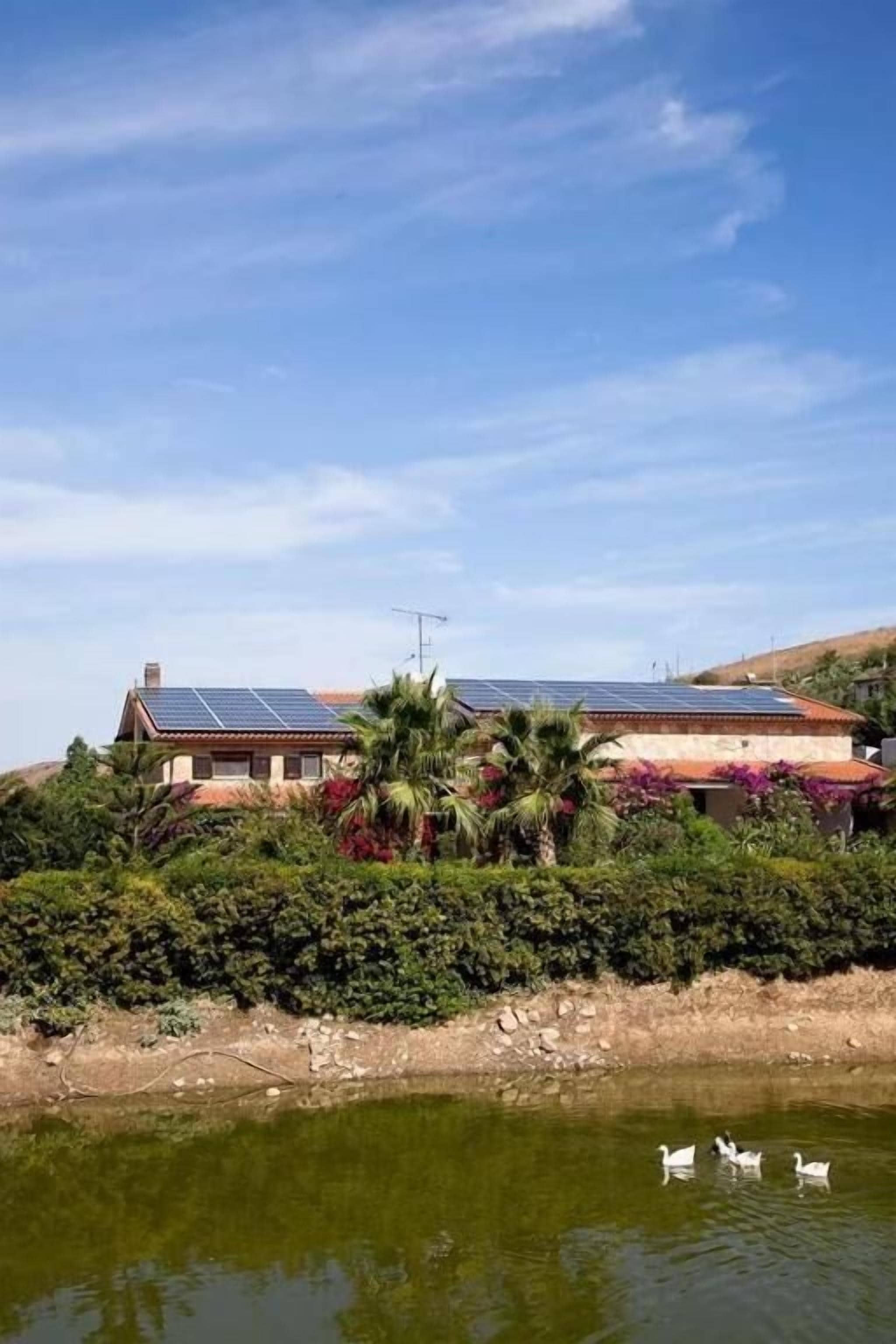 Een huis met zonnepanelen, een vijver met zwanen en weelderige begroeiing.