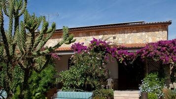 A courtyard with a cactus, a sofa, and a stone building with a tiled roof.