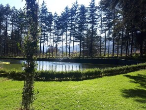Lake - Hotel Jardin Rincon de las Estrellas (Omitlán de Juárez)