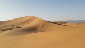 Exterior - Bivouac Bader Monika Tamegroute (Tamegroute)