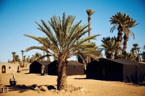 Exterior - Bivouac Azoul (M'Hamid El Ghizlane)