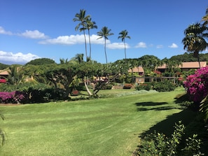 Un campo de golf bien cuidado con exuberante vegetación, palmeras y flores vibrantes.