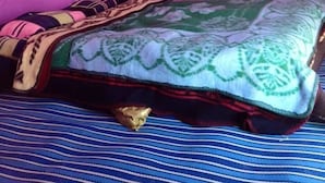 Tenda Klasik | Meja kerja dan seprai linen
