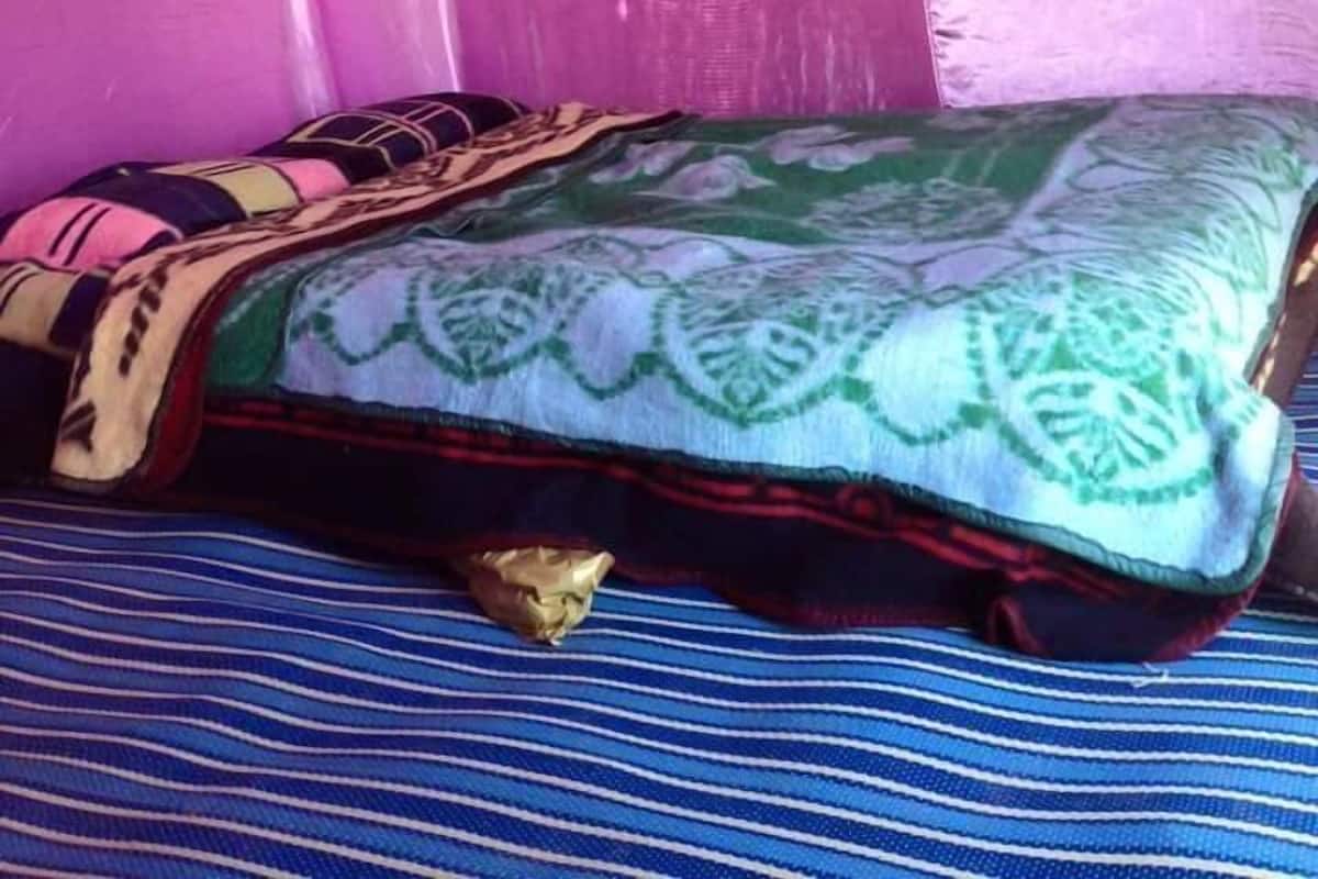 Classic Tent | Desk, bed sheets