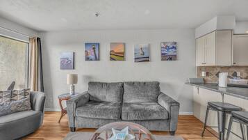 TV, fireplace, DVD player