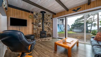 Televisión, chimenea, reproductor de DVD, libros