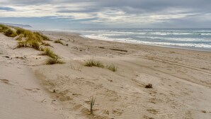 Une plage de sable avec des dunes et de l’herbe.