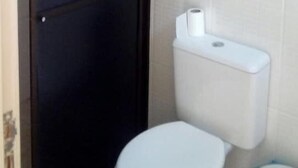 A bathroom with a toilet, a dark door, and a white wall.
