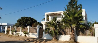 Dar Arous