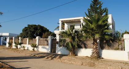 Dar Arous