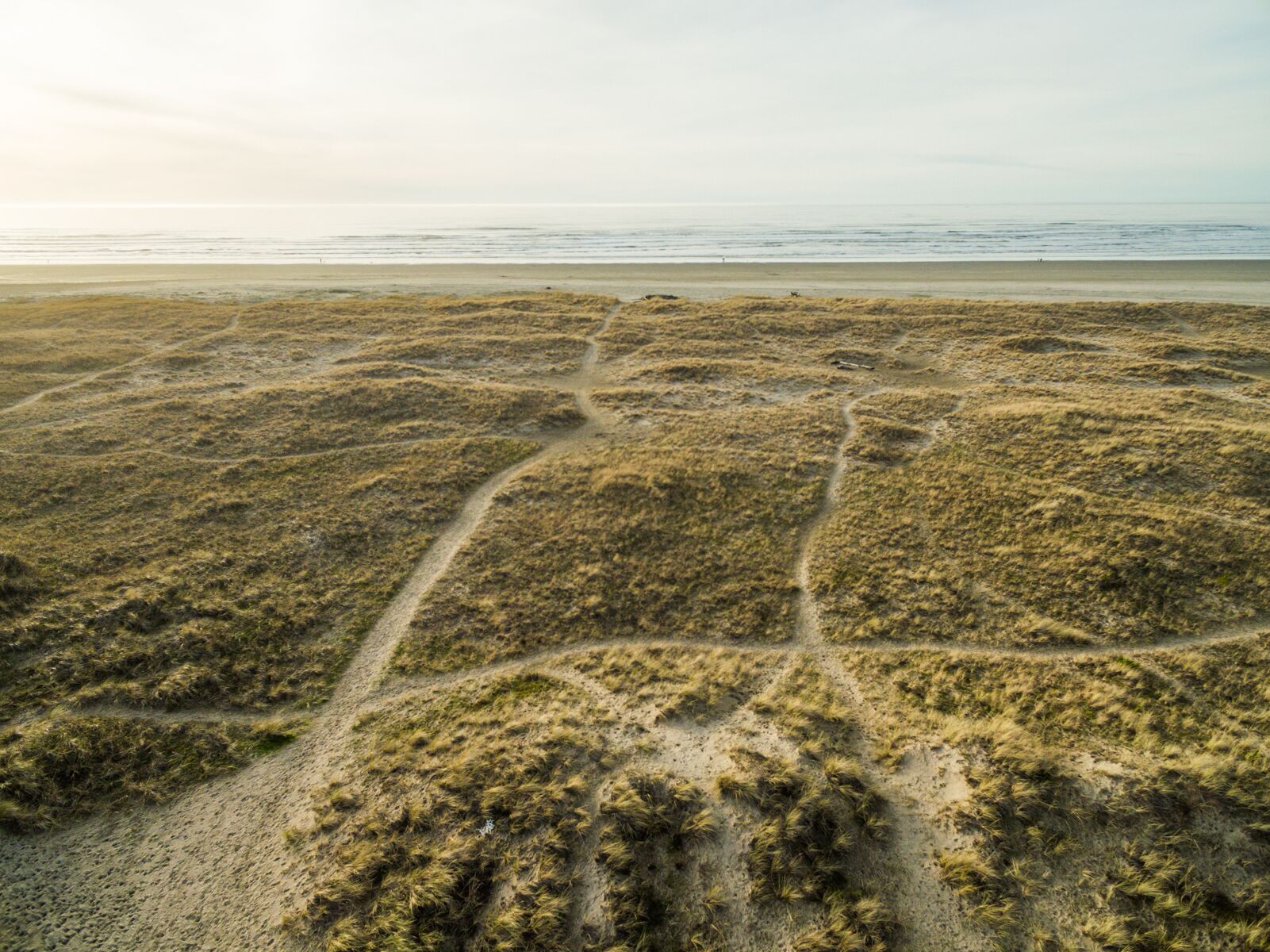 A beach with sparse vegetation and a visible path.