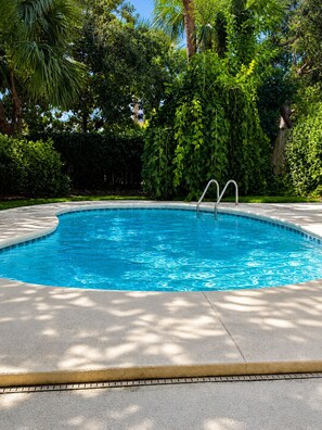 A rectangular swimming pool with a tiled edge, surrounded by a concrete deck and lush greenery. - Cozy Coastal Retreat with Private Heated Pool Walk to Florida's Best Beaches (Destin)