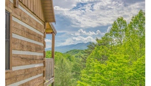 Escape to a secluded cabin surrounded by lush forest and majestic mountains.